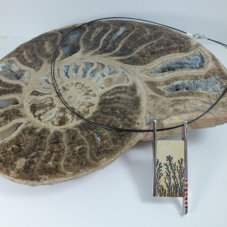 Ammonites-FranberA-1874